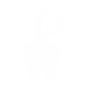 Tooth Extractions