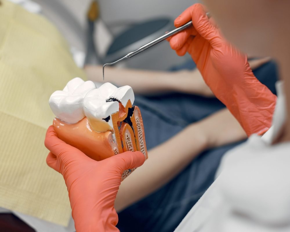 The dentist teaches dental care Model of a tooth at the dentist.Doctor shows the patient a tooth.Reception in the dentist's office