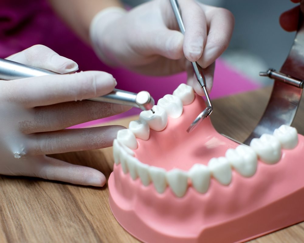 nurse practicing on the layout of the jaw with teeth nurse practicing on the layout of the jaw with teeth
